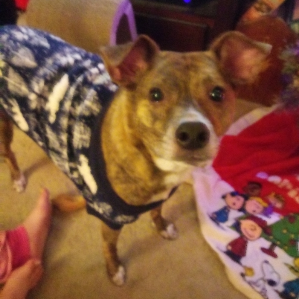 Meet your Posher, Christina